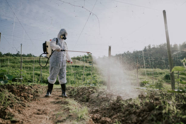 Best Best Pest Control Companies  in Auxvasse, MO