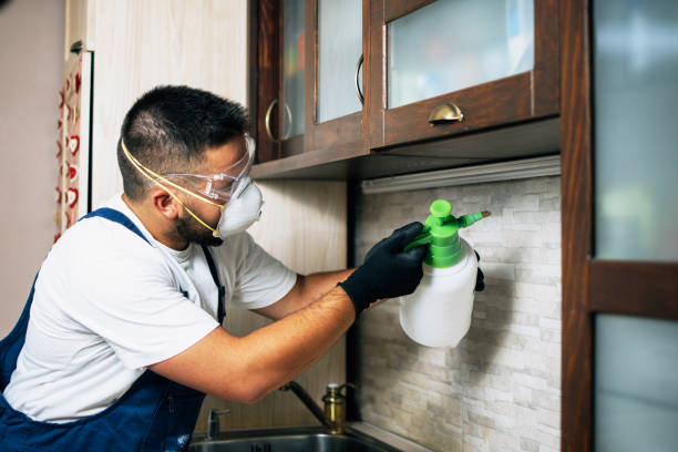 Best Rat Extermination Near Me  in Auxvasse, MO