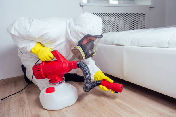 Best Mosquito Control Services  in Auxvasse, MO