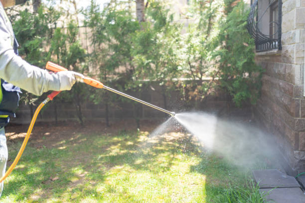 Best Residential Pest Control  in Auxvasse, MO