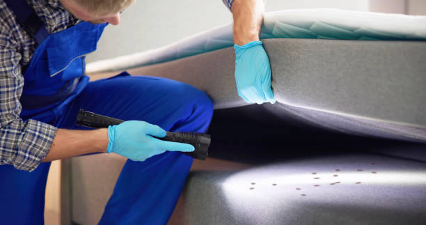 Best Best Pest Control Companies  in Auxvasse, MO